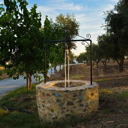Melrinitas - Turismo Rural Serpa Bagian luar foto